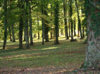 camping-la-force-dordogne