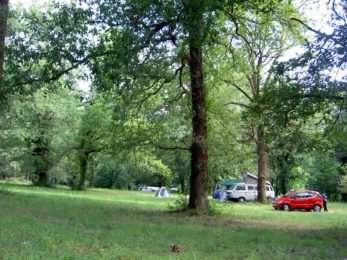camping-mobil-home-foret
