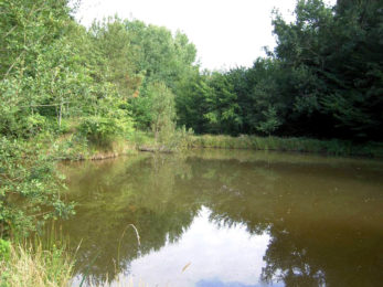 etang-camping-dordogne