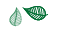 feuille-verte
